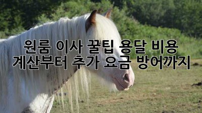 원룸 이사 꿀팁🍯 용달 비용 계산부터 추가 요금 방어까지!