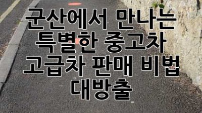 군산에서 만나는 특별한 중고차✨: 고급차 판매 비법 대방출!