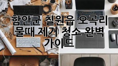 함안군 칠원읍 오곡리 물때 제거 청소 완벽 가이드