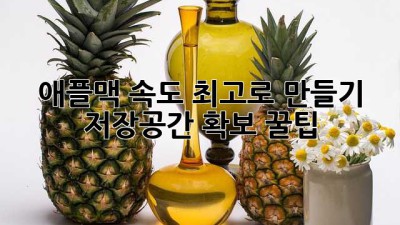 애플맥 속도 최고로 만들기: 저장공간 확보 꿀팁